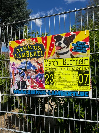 Plakat für den Zirkus Lambert mit Terminen und einem Hundebild.